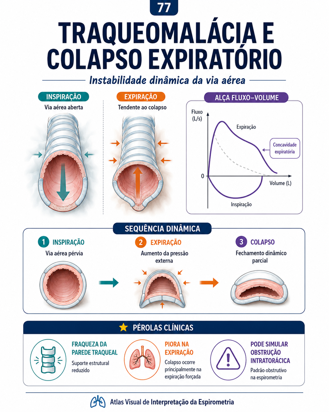 Mapa visual do Atlas de Espirometria