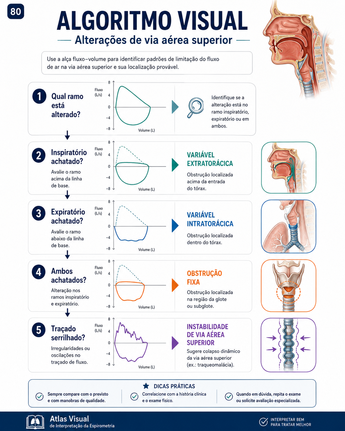 Página visual de estudo e interpretação da espirometria